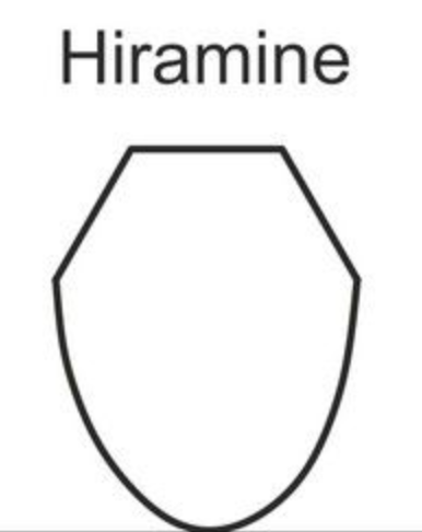 Japanisches Bokken Aka Kashi Hiramine